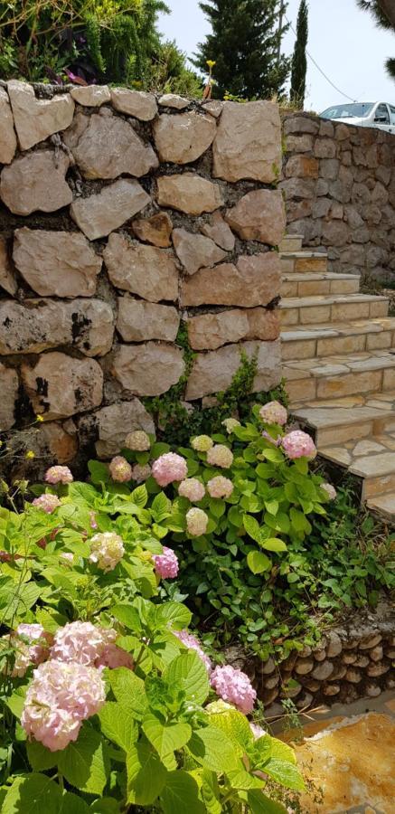 Villa Kuca Za Odmor Jelena Starigrad Paklenica Exterior foto