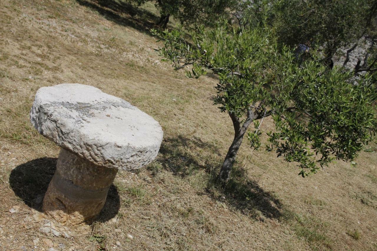 Villa Kuca Za Odmor Jelena Starigrad Paklenica Exterior foto
