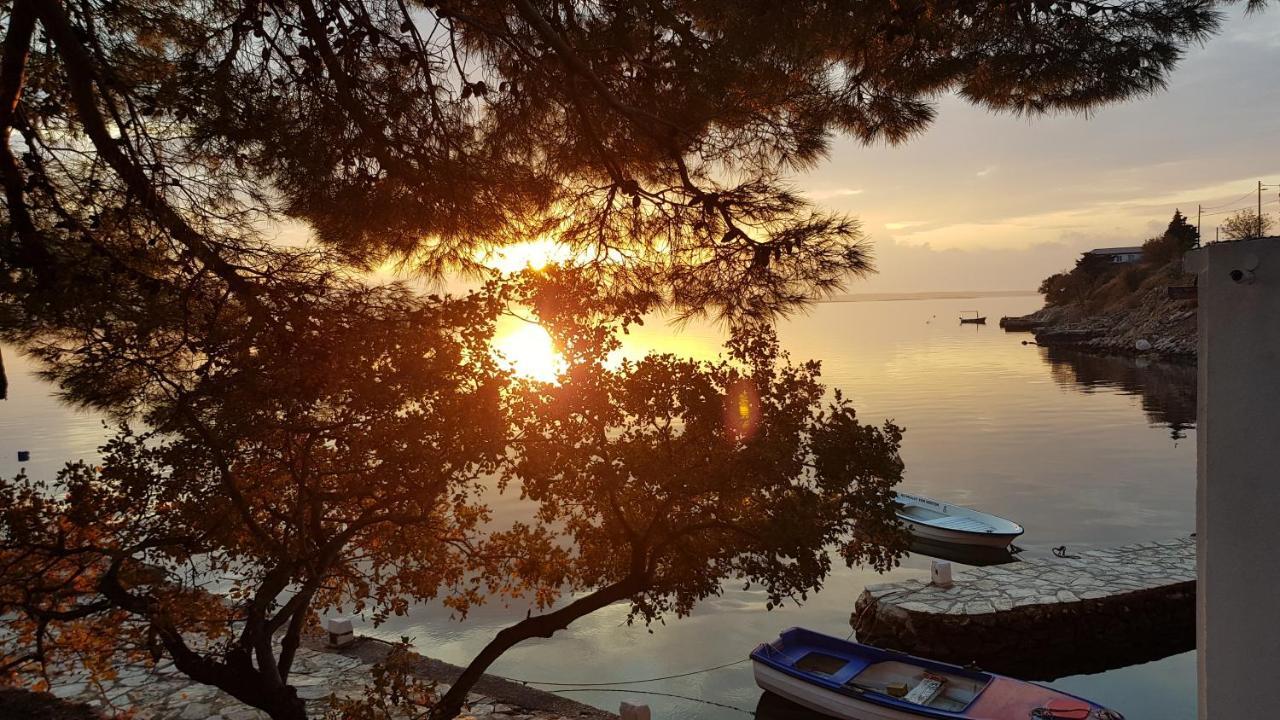 Villa Kuca Za Odmor Jelena Starigrad Paklenica Exterior foto